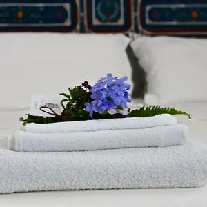 Buon Consiglio Apartment Lecce